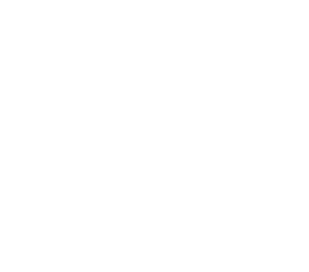 ANA Hotel